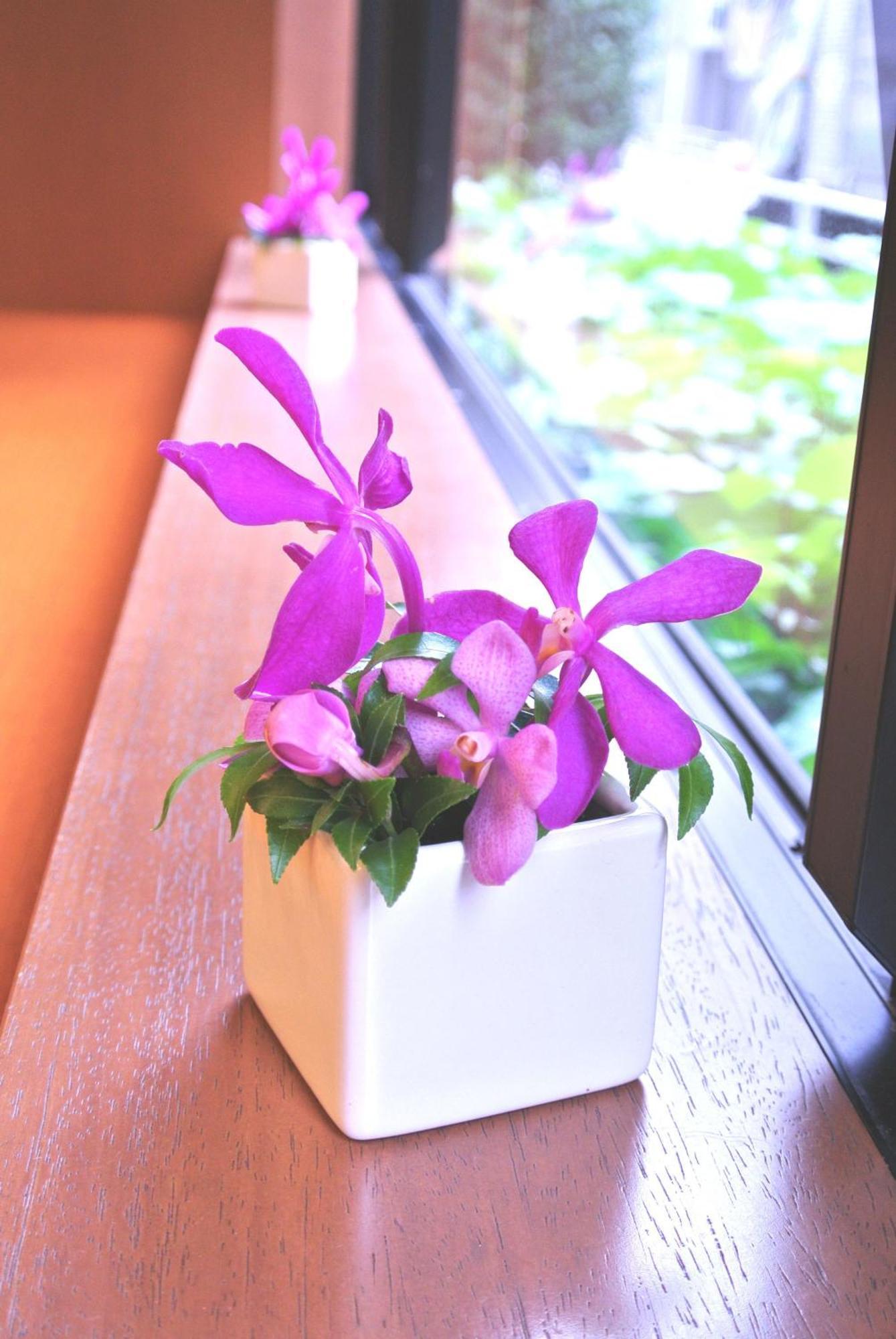 Almont Inn Tokyo Nihonbashi Buitenkant foto